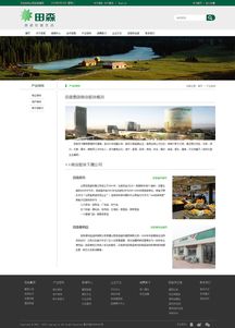 山西田森集团 网站效果设计